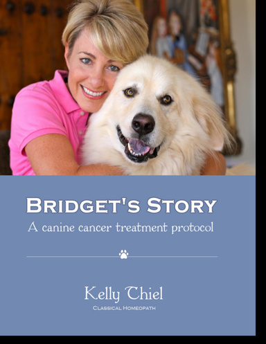Bridget's Story - A Canine Cancer Treatment Protocol