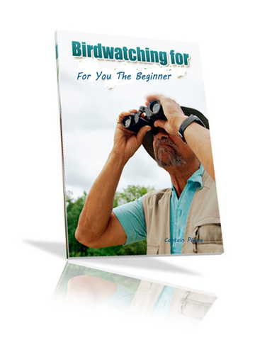Bird Watching -- For You The Beginner