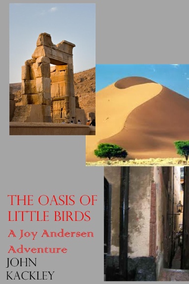 The Oasis of Little Birds