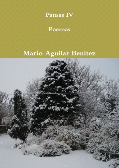 Pausas IV: Poemas