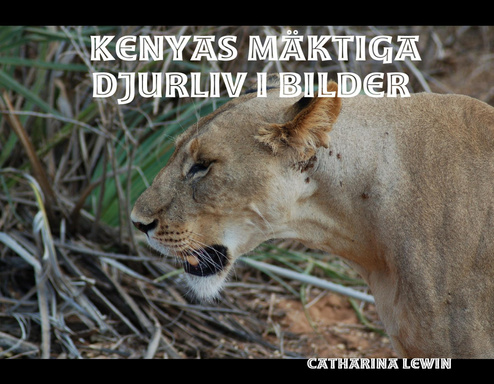 Kenyas mäktiga djurliv i bilder