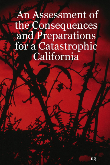 An Assessment of the Consequences and Preparations for a Catastrophic California