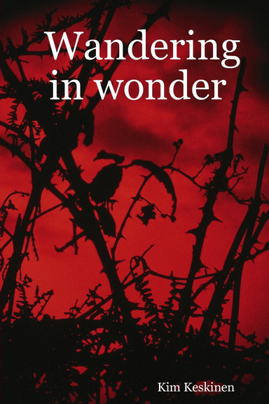 Wandering in wonder