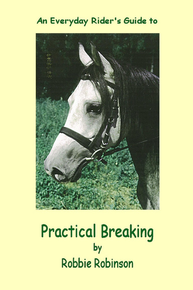An Everyday Rider's Guide to Practical Breaking
