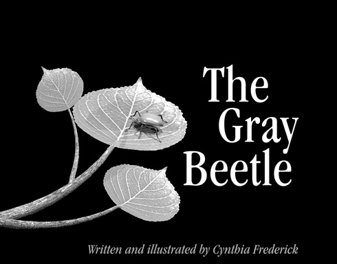 The Gray Beetle