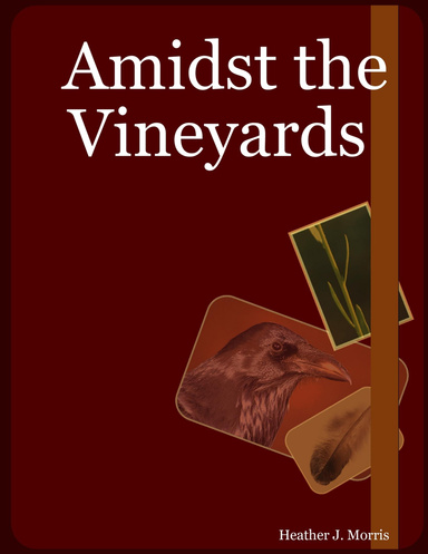 Amidst the Vineyards