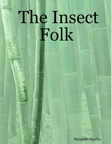 The Insect Folk