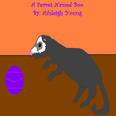 A Ferret Named Boo