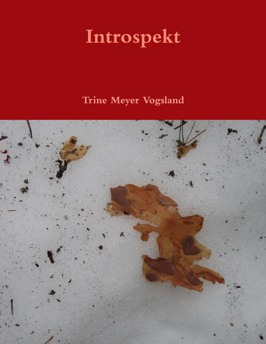 Introspekt fullfargeutgaven