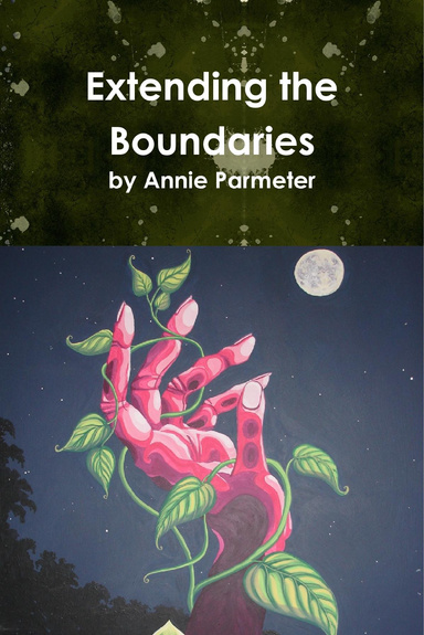 Extending the Boundaries