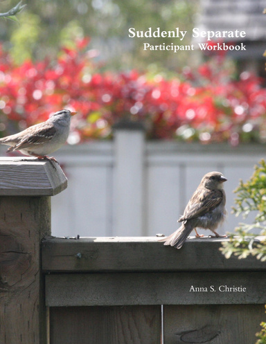 Suddenly Separate Participant Workbook