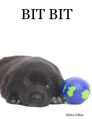 BIT BIT