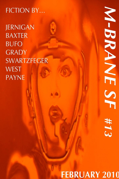 M-BRANE #13 February 2010