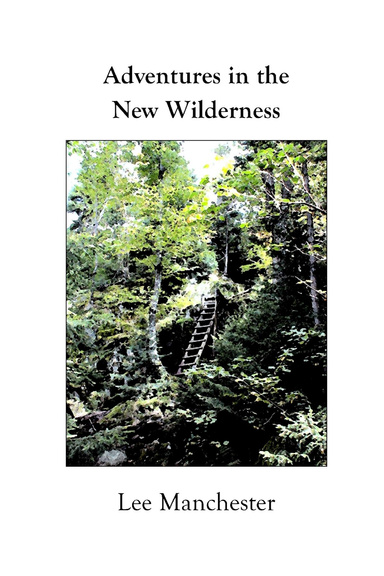 Adventures in the New Wilderness (paperback)