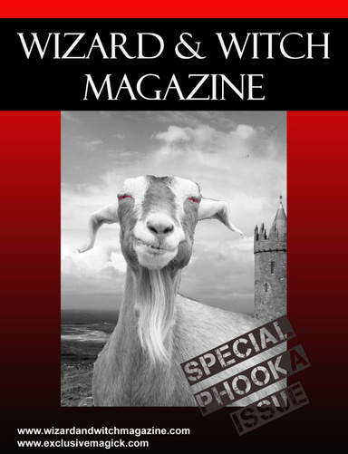Wizard & Witch Magazine - November 2010 Issue