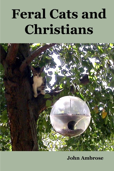 Feral Cats and Christians