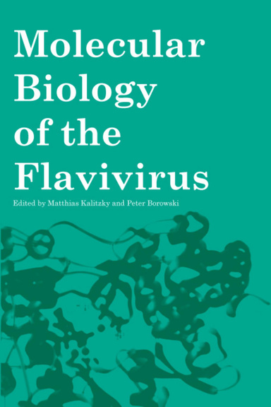 Molecular Biology of the Flavivirus