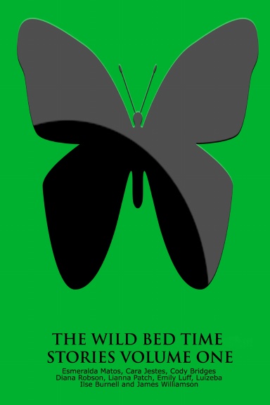 The Wild Bed Time Stories