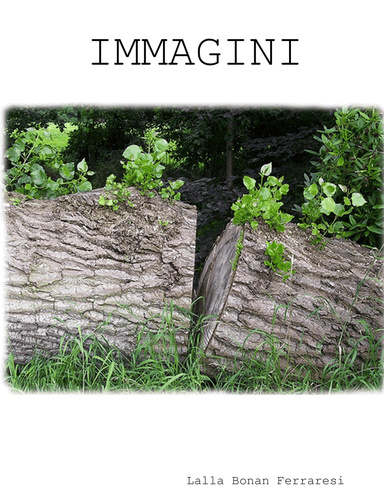 Immagini
