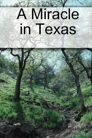 A Miracle in Texas