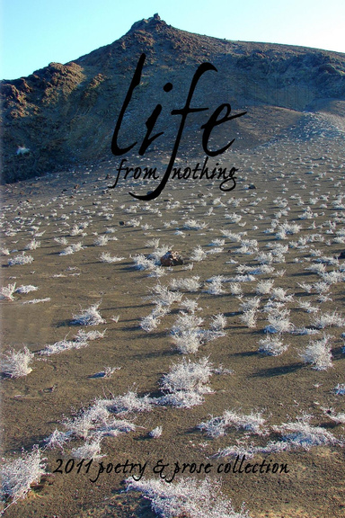 Life... from Nothing