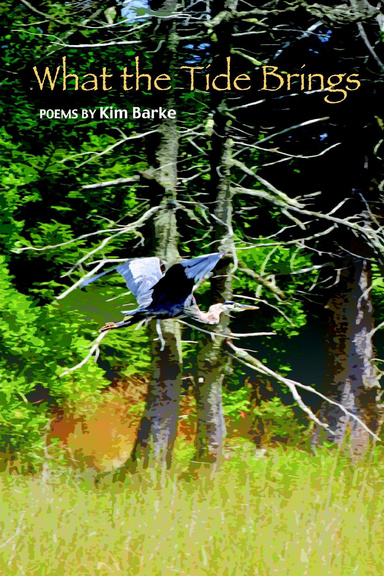 What the Tide Brings