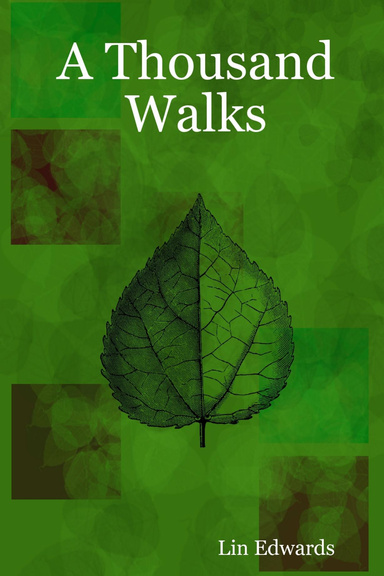 A Thousand Walks