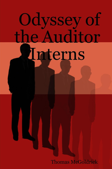 Odyssey of the Auditor Interns