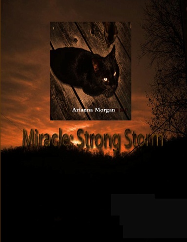 Miracle Strong Storm