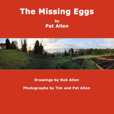 The Missing Eggs