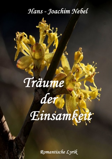 Träume der Einsamkeit
