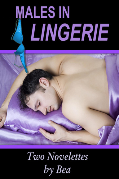 Males in Lingerie