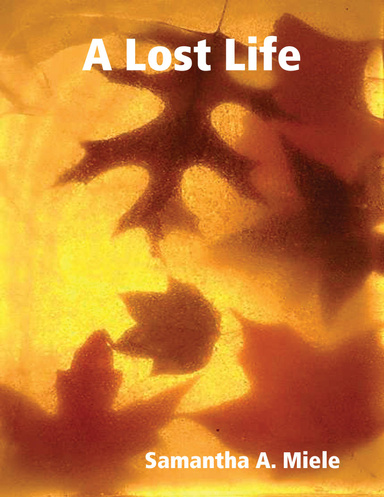 A Lost Life