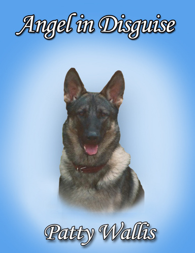 Angel in Disguise