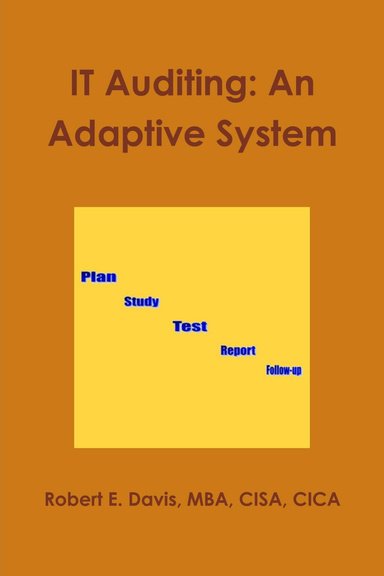 IT Auditing: An Adaptive System