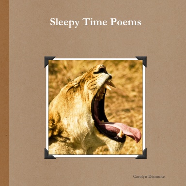 Sleepy Time Poems