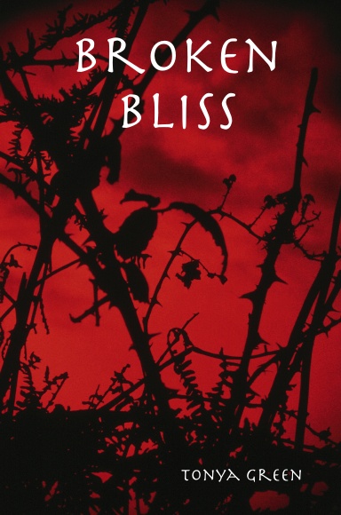 Broken Bliss