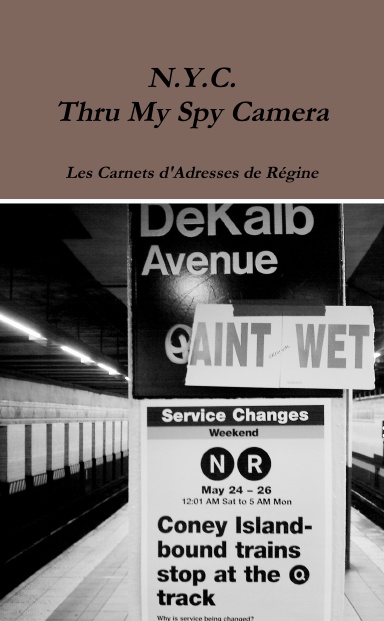 N.Y.C. Thru My Spy Camera - Address Book