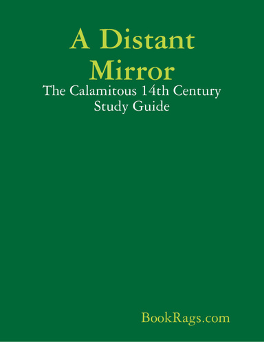 A Distant Mirror: The Calamitous 14th Century Study Guide