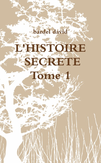 L'HISTOIRE SECRETE TOME 1