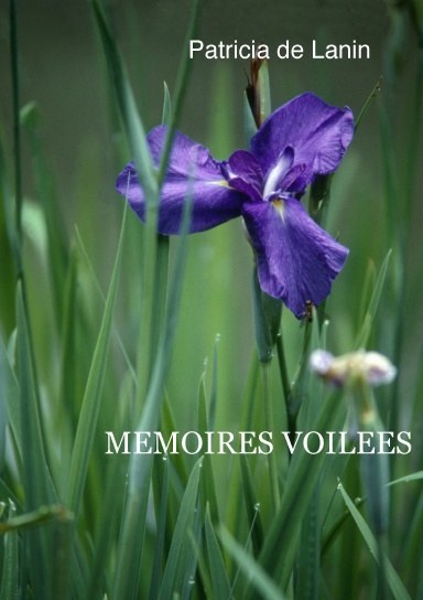 Mémoires voilées