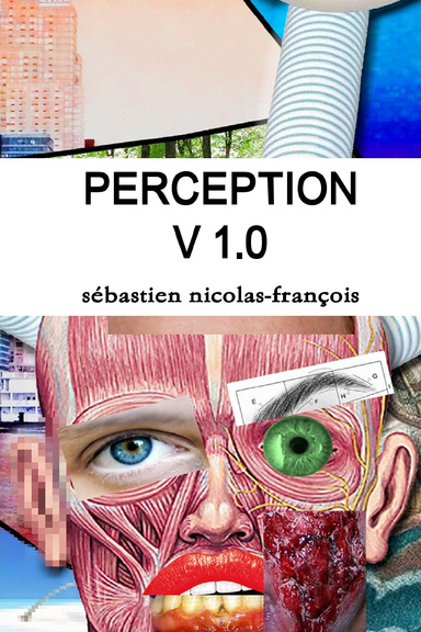 perception v 1.0