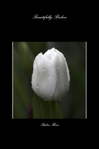 Beautifully Broken