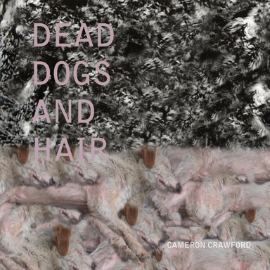 Dead Dogs and Hair