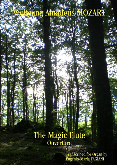 Mozart Magic Flute Ouverture Organ Transcription