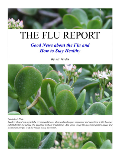 The Flu Report: Good News About the Flu and How to Stay Healthy