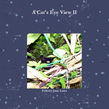 A Cat's Eye View II