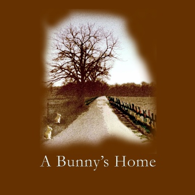 A Bunny's Home