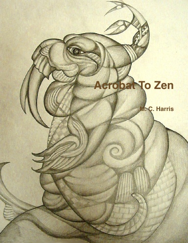 Acrobat To Zen