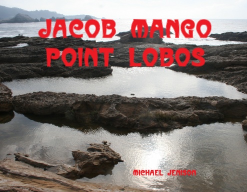 Jacob Mango Point Lobos